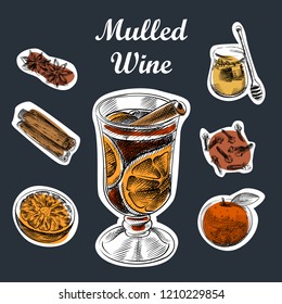 Vector set of mulled wine elements and objects. Composition of mulled wine recipe in Sketch style. Collection of Honey, cinnamon sticks, orange, star anise, cloves vector illustration.