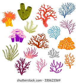 vector set multi  colored corals