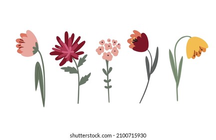 vector set of multicolored garden flowers on a light background	
