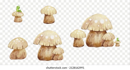 Vector Set of Mushroom and Caterpillar on transparent background, Watercolour illustration Cute cartoon elements of wild nature plant for Easter, Spring ,Autumn greeting card and Banner concept