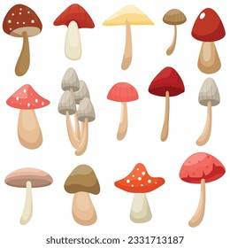 Vector set mushroom collection, mushroom illustration clipart