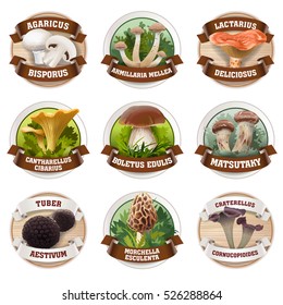 Vector set of mushroom logos, stickers, made in a realistic style. Can be used for packing.