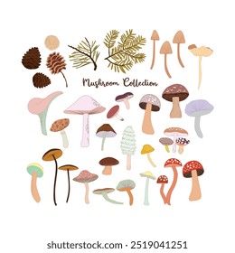 Coleção de natureza de cogumelos com conjunto vetorial.