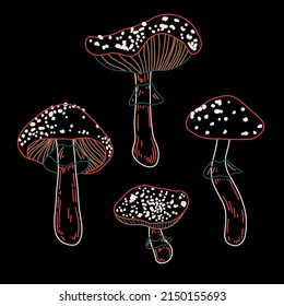 
Vektorset aus Pilzen. Amanitas werden von Hand mit farbigen Linien gezeichnet. Lineare Zeichnung auf schwarzem Hintergrund.