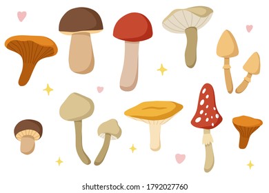Vector set of mushrooms, autumn forest harvest. boletus, shiitake, porcini, oyster, chanterelle,darner, bolrtus, chanterelles, fly agaric, russula, shimeji, 