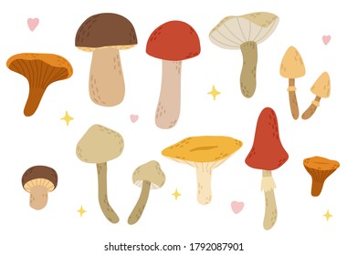 Vector set of mushrooms, autumn forest harvest. boletus, shiitake, porcini, oyster, chanterelle,darner, bolrtus, chanterelles, fly agaric, russula, shimeji, 