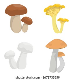 Vector set of mushrooms. Chanterelle, porcini, champignon and aspen mushroom in cartoon style isolated on white background.