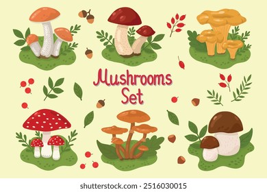 Conjunto vetorial de cogumelos, agarics mosca, champignons, chanterelles, cogumelos porcini em um fundo transparente, para planilhas e cadernos, web design. Ilustração de cor de estoque de cogumelos.