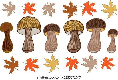 Vector set of mushrooms and leaves. Mushroom composition.