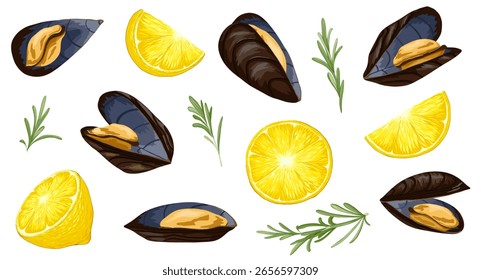 Vector set with mussels, lemon slices and rosemary sprigs. Hand drawn seafood illustration on white background for menu, cookbook, food packaging, branding, sticker and Mediterranean cuisine visuals