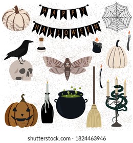 Vector set of mystic Halloween illustration. Stylish gothic elements: witch broom, couldron, candles, potions, snake, pumpkins, jack-o-lanterns, crow, scull, spider web, moth and other. 