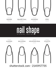 Vector set nail shape visual guide. Isolatedn on white background.