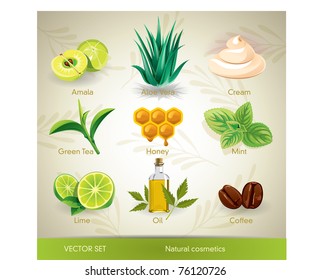 Vector set of natural cosmetics ingredients.