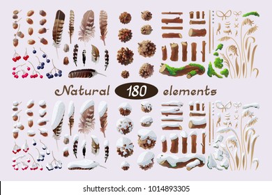 vector Set natural design elements (feathers, berries, pinecone, pine cone, acorn, dry grass, berries, sticks, moss). Wild winter handdrawn christmas, xmas, new year, snowy, frozen forest collection.

