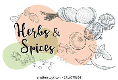 Vector set of natural herbs and spices to prepare delicious and healthy food Botanical illustration.