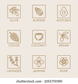 Vector set of natural ingredients and oils for cosmetics in linear style - packaging design templates and emblems - olive, almond, avocado, cocoa, coconut, argan, lavender, jasmine and rose