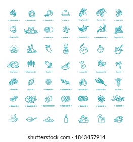 Vector set of natural ingredients and oils for cosmetics in linear style