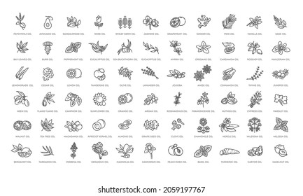 Vector set of natural ingredients and oils for cosmetics in linear style. Essential oil and cosmetics oils, butters