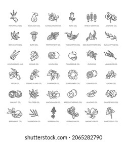 Vector set of natural ingredients and oils for cosmetics in linear style. Essential oil and cosmetics oils, butters