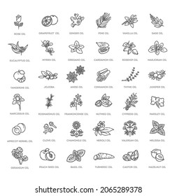 Vector set of natural ingredients and oils for cosmetics in linear style. Essential oil and cosmetics oils, butters