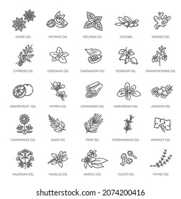 Vector set of natural ingredients and oils for cosmetics in linear style. Essential oil and cosmetics oils, butters