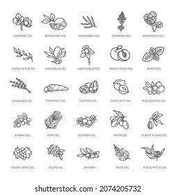 Vector set of natural ingredients and oils for cosmetics in linear style. Essential oil and cosmetics oils, butters