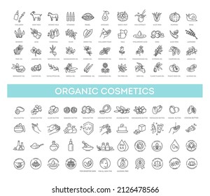 Conjunto vectorial de ingredientes y aceites naturales para cosméticos de estilo lineal