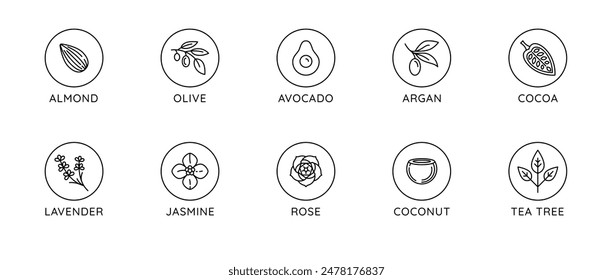 Vector conjunto de ingredientes naturales y aceites para cosméticos en estilo lineal - Plantillas y emblemas de diseño de envases - oliva, almendra, aguacate, cacao, coco, argán, lavanda, jazmín y rosa