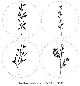 Vector set of natural motifs silhouettes