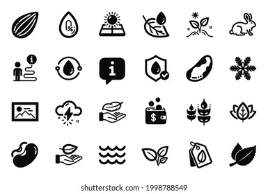 Vector Set of Nature icons related to Animal tested, Grow plant and Thunderstorm weather icons. Lightweight, Leaf dew and Leaves signs. Brazil nut, Leaf and Photo. Snowflake, Waves and Beans. Vector