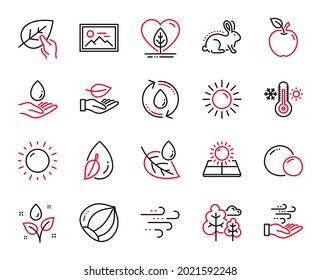 Vector Set of Nature icons related to Local grown, Wind energy and Windy weather icons. Refill water, Organic tested and Photo signs. Hazelnut, Plants watering and Sun energy. Tree, Apple. Vector