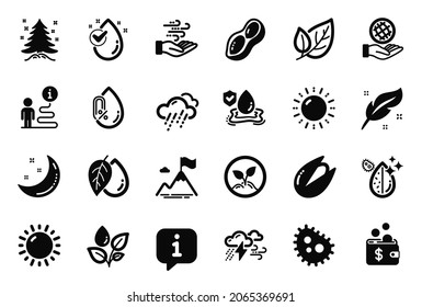 Vector Set of Nature icons related to Rainy weather, Feather and Peanut icons. Water drop, Startup and Mineral oil signs. Plants watering, Wind energy and No alcohol. Leaf, Sunny weather. Vector