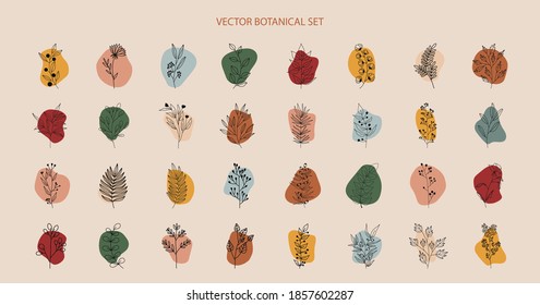 Vector set of nerd elements with circles of different colors on an isolated background. Tropical plants, leaves and branches with flowers. Hand drawn style. For printing on fabric and clothing,