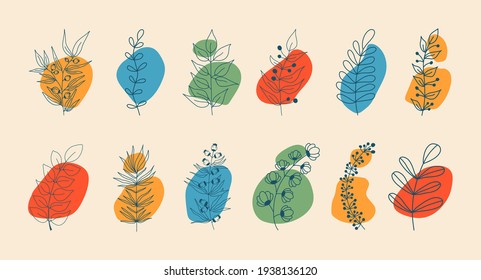 Vector set of nerd elements with circles of different colors on an isolated background. Tropical plants, leaves and branches with flowers. Hand drawn style. For printing on fabric and clothing,