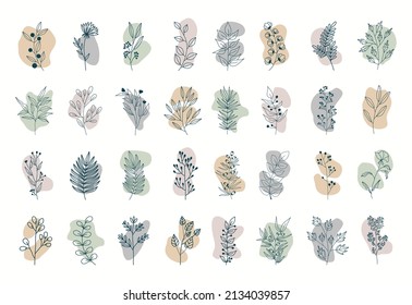 Vector set of nerd elements with circles of different colors on an isolated background. Tropical plants, leaves and branches with flowers. Hand drawn style. For printing on fabric and clothing,