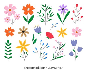 Vector set of nerd elements with circles of different colors on an isolated background. Tropical plants, leaves and branches with flowers. Hand drawn style. For printing on fabric and clothing,