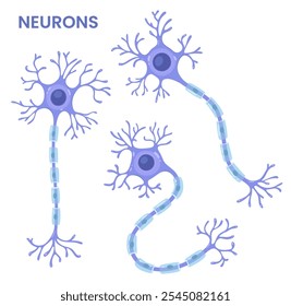 Vector set of neurons. Scientific illusteration