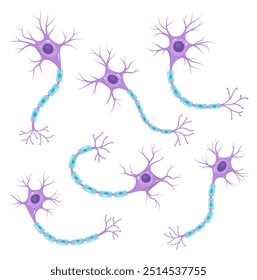 Vector set of neurons. Scientific illustration