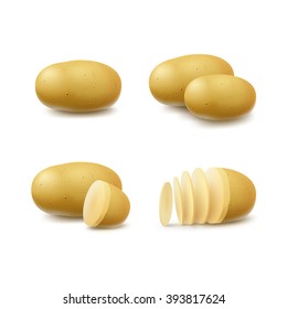 Vector Set of New Yellow Raw Whole and Sliced Potatoes Close up Isolated on White Background