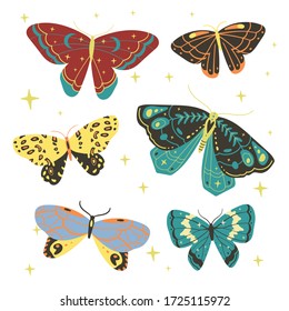 vector set of night butterfly, star. magic vintage illustration