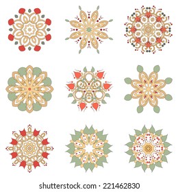 Vector set of nine floral circular design elements isolated on white background for your design . Delicate pattern. Physalis, leaves and twisted branches.