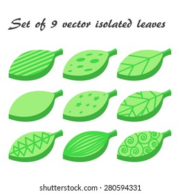 Vector set of nine green isometric leaves