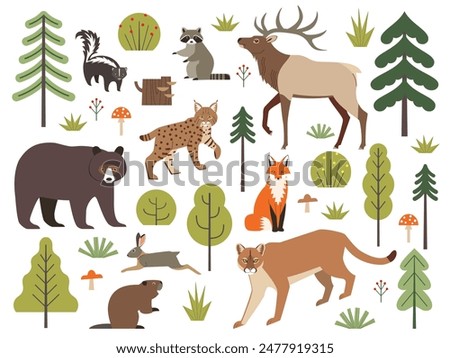 Vector set of North American forest animals, trees, bushes, mushrooms isolated on white background.  Vector clipart of American black bear, elk, puma, bobcat, fox, raccoon, skunk, hare and beaver.