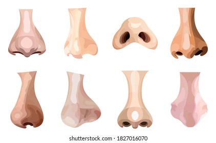 Vector set of noses in graphic style