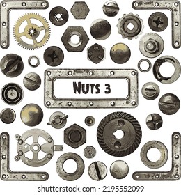 Vector set nuts collection