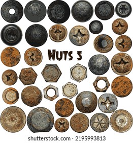 Vector set of nuts collection