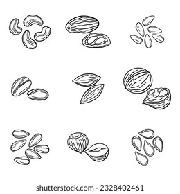vector set nuts, drawn line icons set, almond, cashew, seed