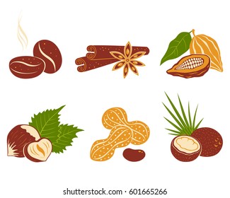 Vector set nuts icons. Coffee beans, coconut, star anise, cinnamon, cocoa and  peanuts