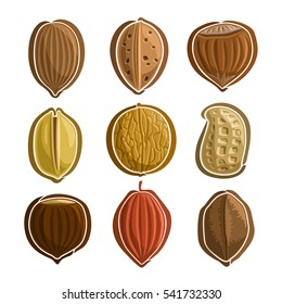 Vector Set Nuts Logotipo: pecã, amêndoa, filbert de avelã, pistache, noz, amendoim amendoim, castanha, cacau, castanha do Brasil; logotipo simplista primitivo abstrato ou ícone, noz de avelã isolado em branco