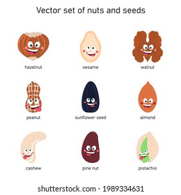 Vector set of nuts and seeds. Cartoon drawing of hazelnut, sesame, walnut, peanut, sunflower seed, almond, cashew, pine nut, pistachio.